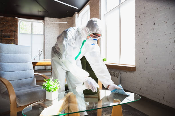 Why You Should Choose Our Mold Remediation Services in Shackle Island, TN